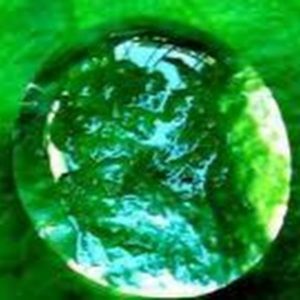 Meet your Posher, Lily